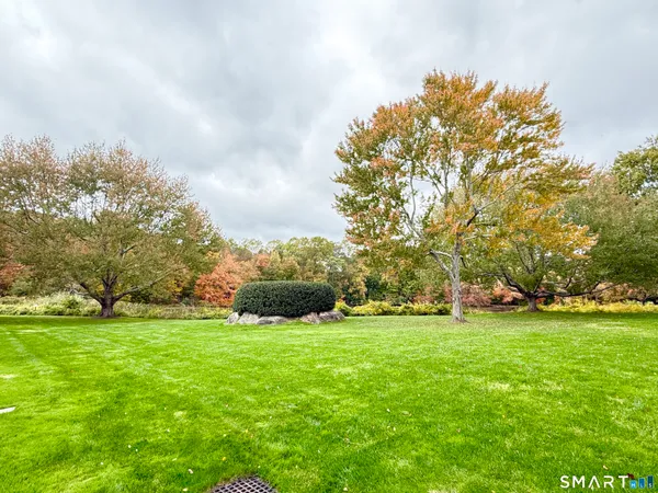 a view of a field of grass and trees