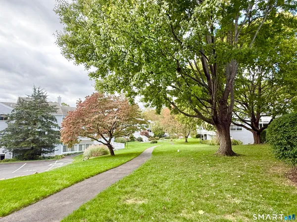 a view of yard with trees