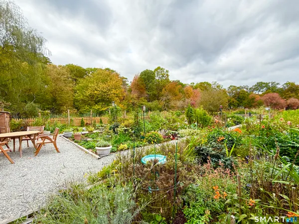 a view of a garden with lawn chairs