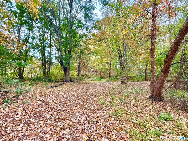 a wooden bench with view of trees