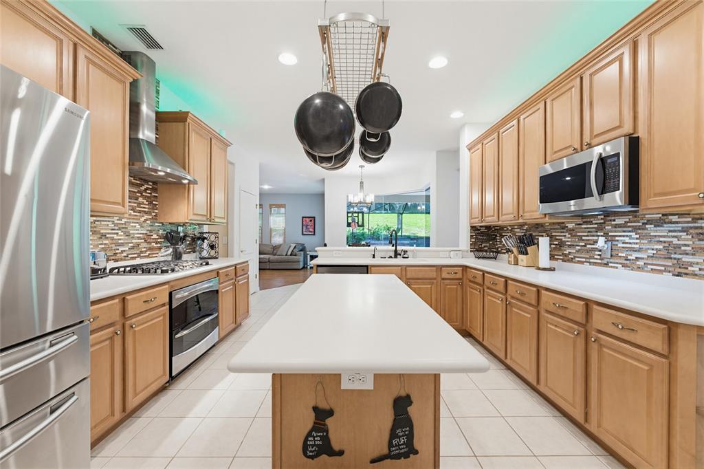 62 Camelot Ridge Drive Brandon, FL 33511 - Photo 12 of 71