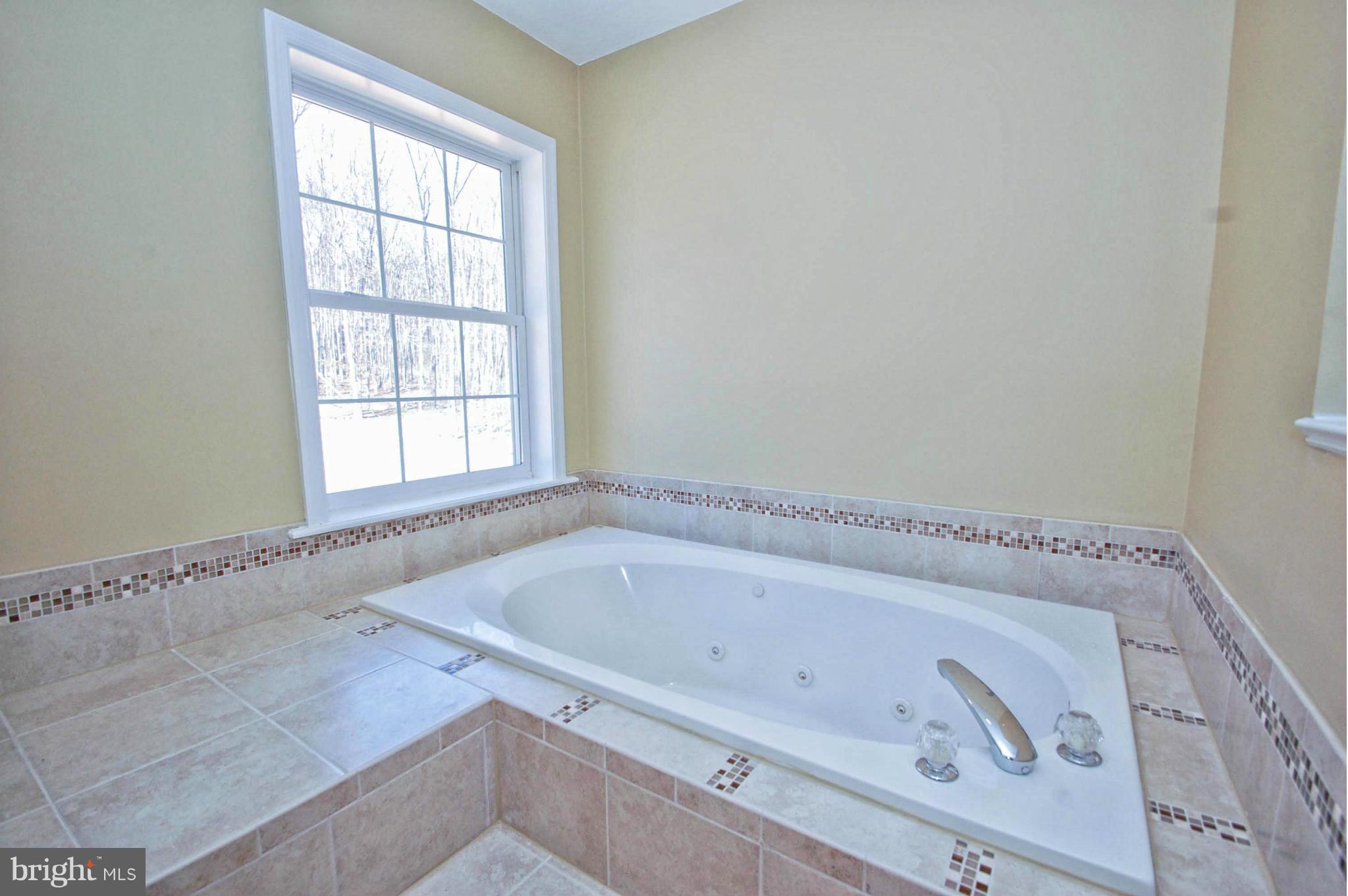 579 Sleepywoods Road Cross Junction, VA 22625 - Photo 17 of 29 Bath (Master)
