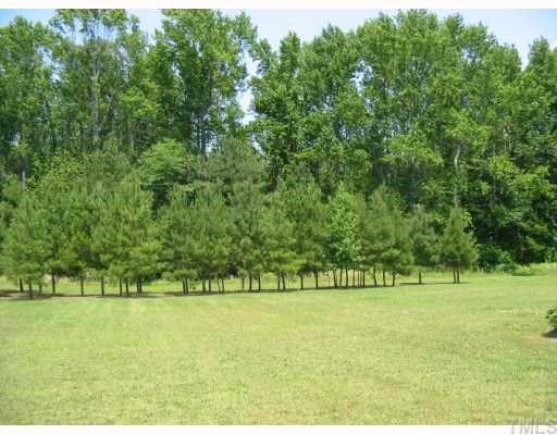 3521 Wiggins Road Spring Hope, NC 27882 - Photo 12 of 12 Back Yard View