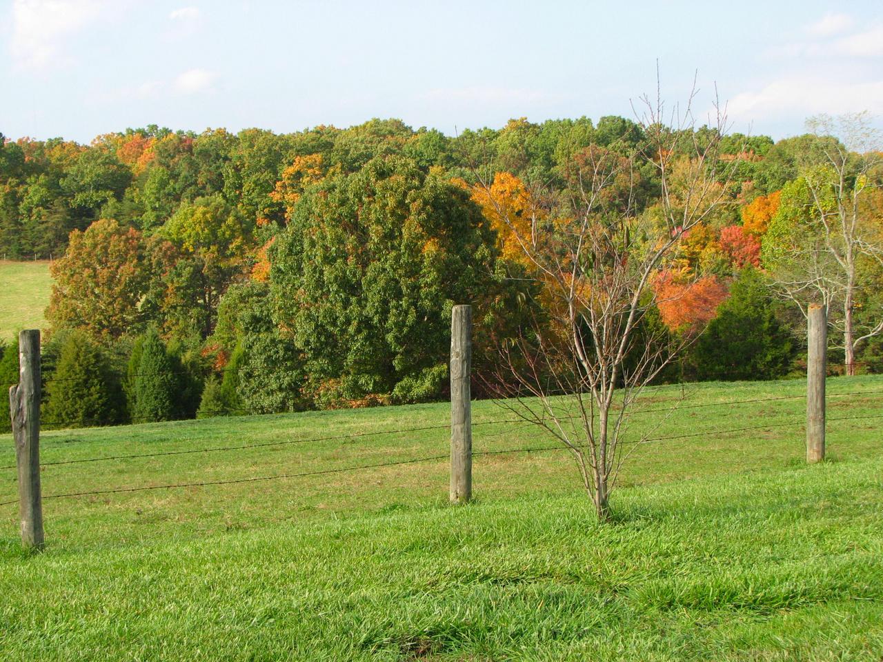 1504 Broken Bow Road Moneta, VA 24121 - Photo 13 of 31 View of Property