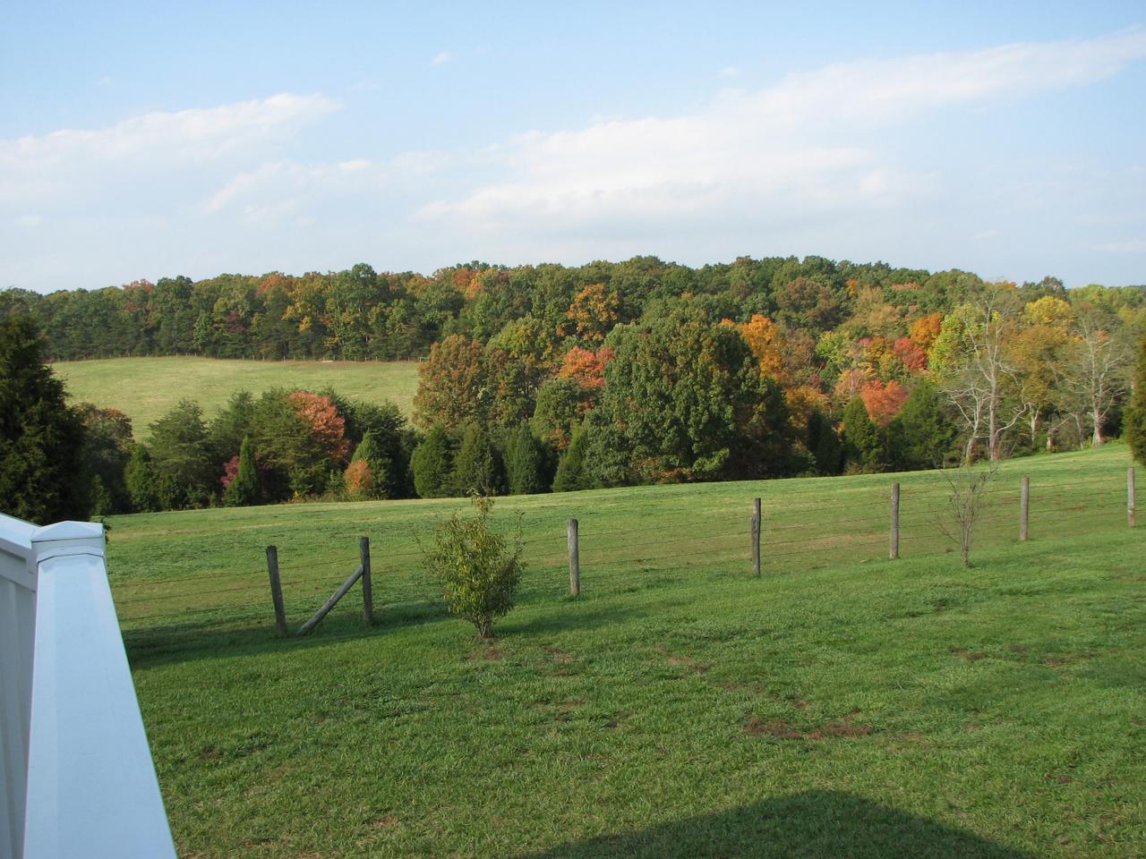 1504 Broken Bow Road Moneta, VA 24121 - Photo 15 of 31 View from side deck