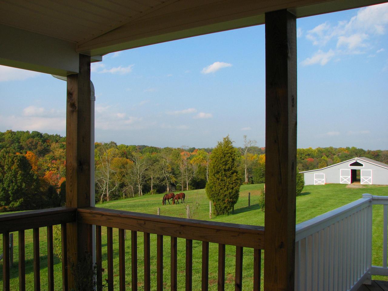 1504 Broken Bow Road Moneta, VA 24121 - Photo 22 of 31 View from Back Coverd Deck