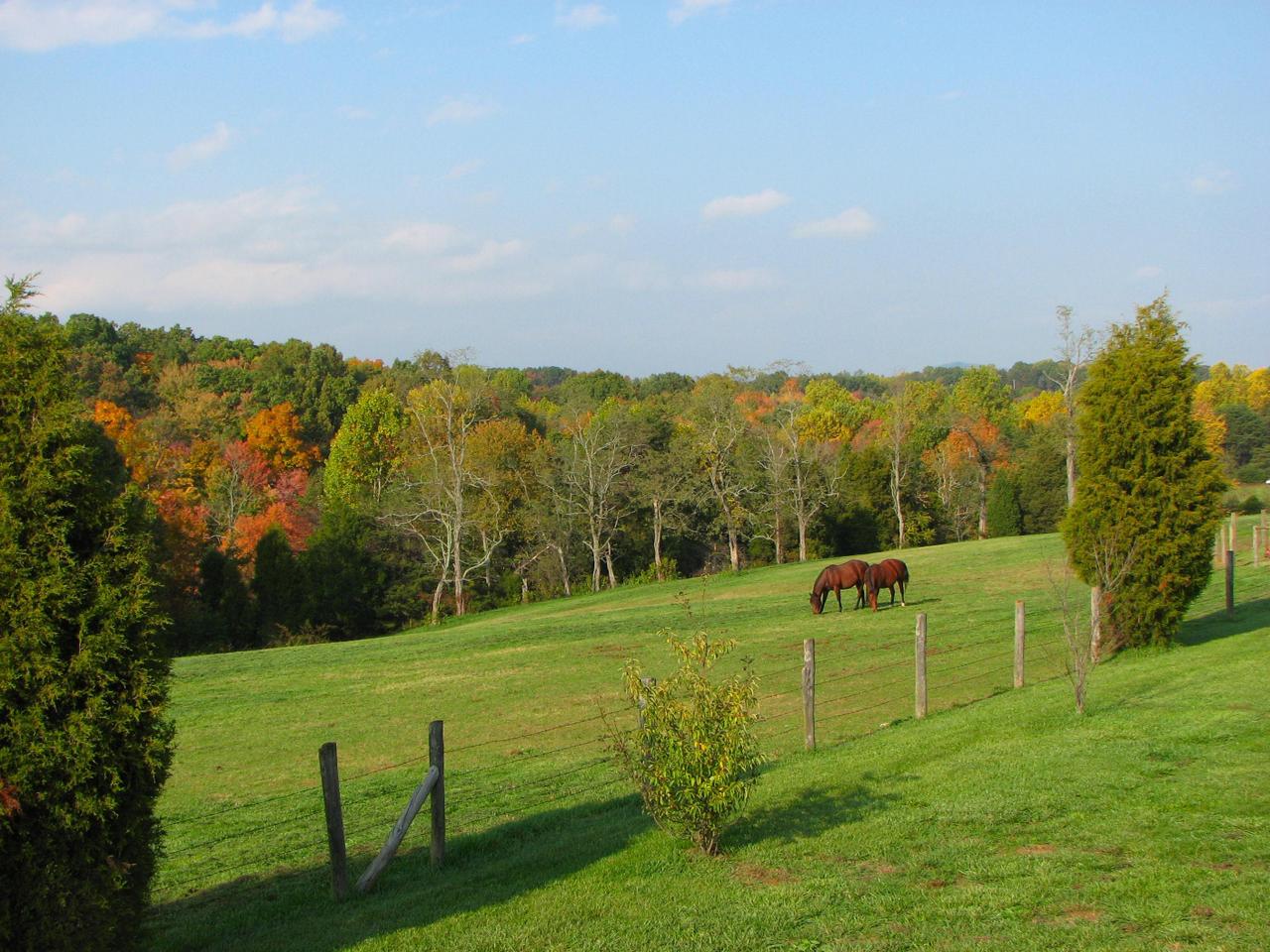 1504 Broken Bow Road Moneta, VA 24121 - Photo 25 of 31 Great View