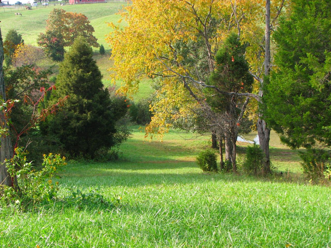 1504 Broken Bow Road Moneta, VA 24121 - Photo 28 of 31 Spring fed Pond