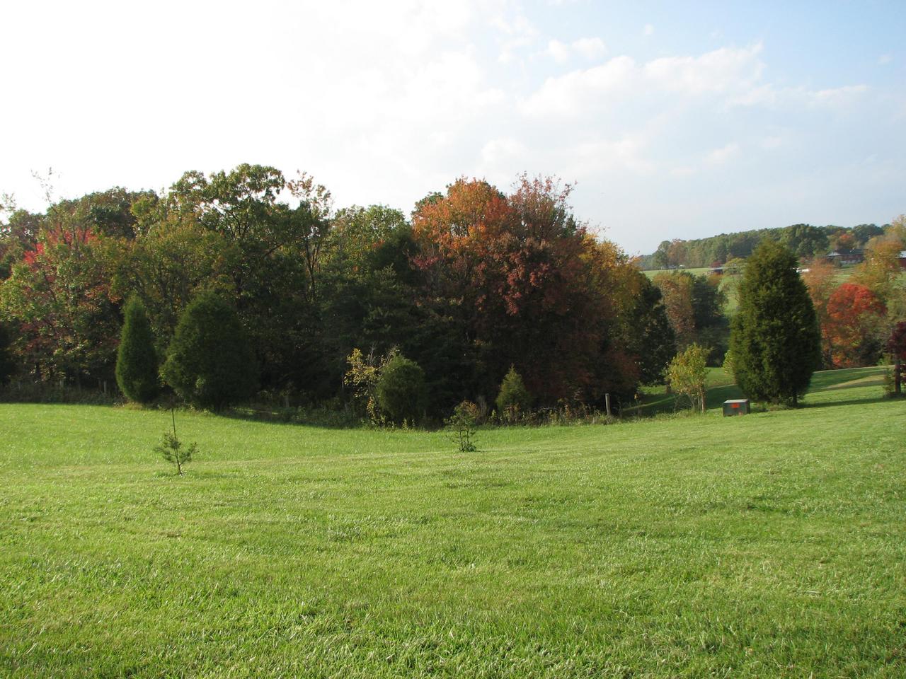 1504 Broken Bow Road Moneta, VA 24121 - Photo 4 of 31 1