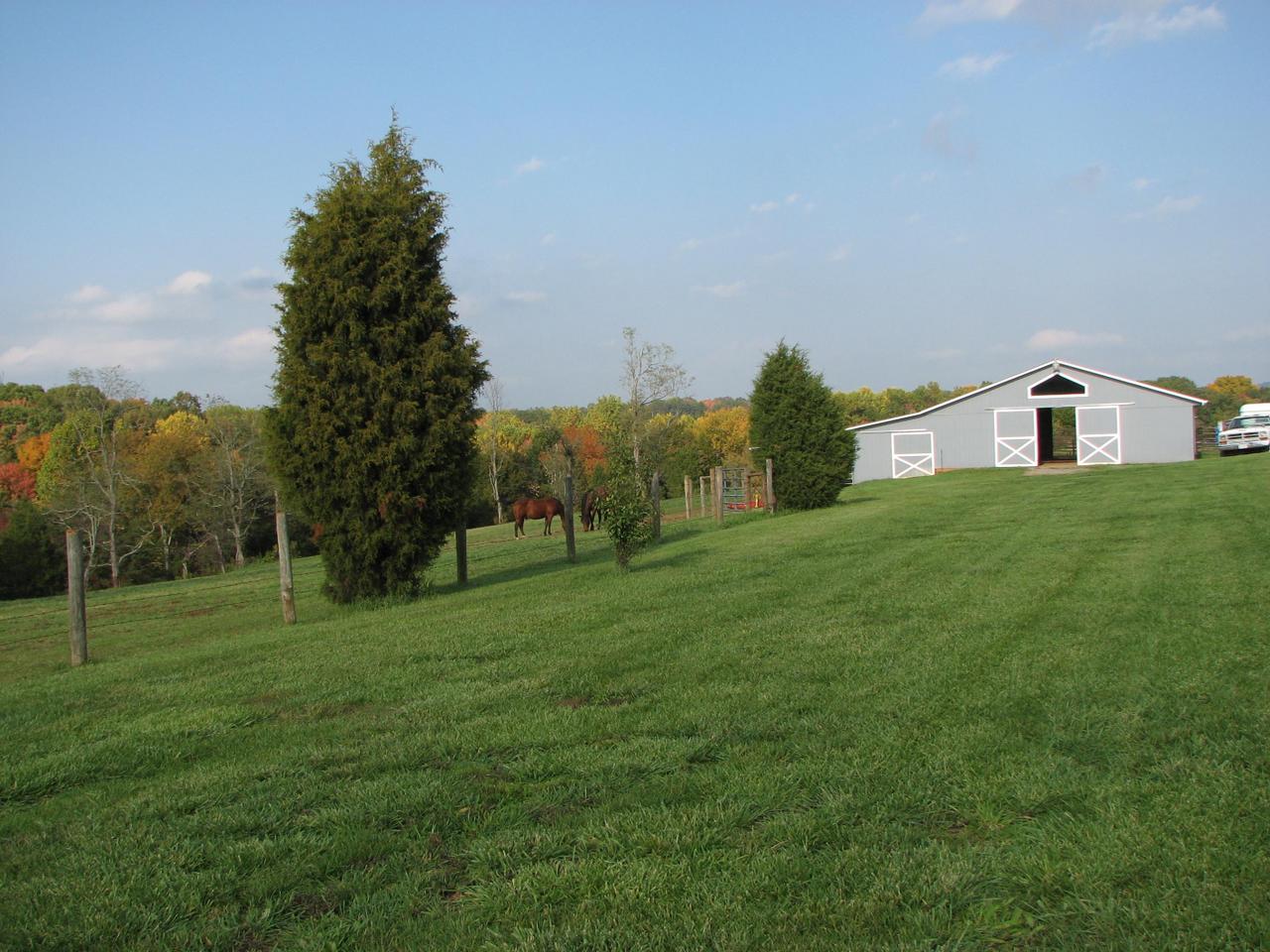 1504 Broken Bow Road Moneta, VA 24121 - Photo 9 of 31 Barn View From Back Side/Back Yard