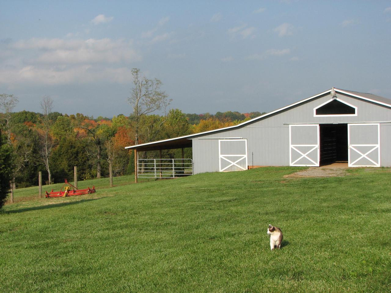1504 Broken Bow Road Moneta, VA 24121 - Photo 10 of 31 Barn 2