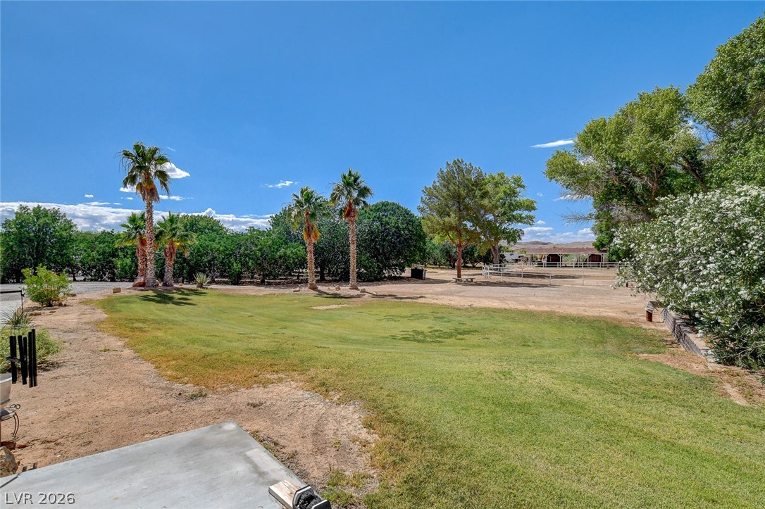 1950 Bowman Road Logandale, NV 89021 - Photo 52 of 81 A verdant, open field with mature palm trees and lush foliage creates a serene, private landscape.