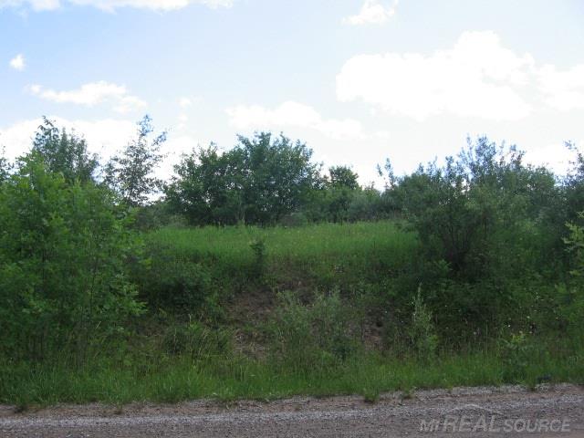 Tbd Burns Line Croswell, MI 48422 - Photo 18 of 19