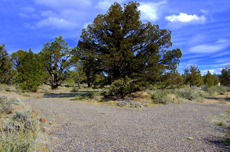 7500 Crow Road Prineville, OR 97754 - Photo 13 of 14 DSC_3640