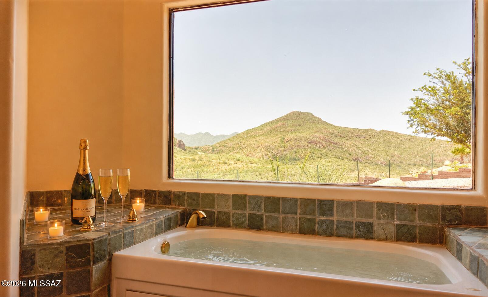 121 Tejano Springs Rio Rico, AZ 85648 - Photo 22 of 46 6AF101A8-7FB1-4924-A894-638A86AB7B6A