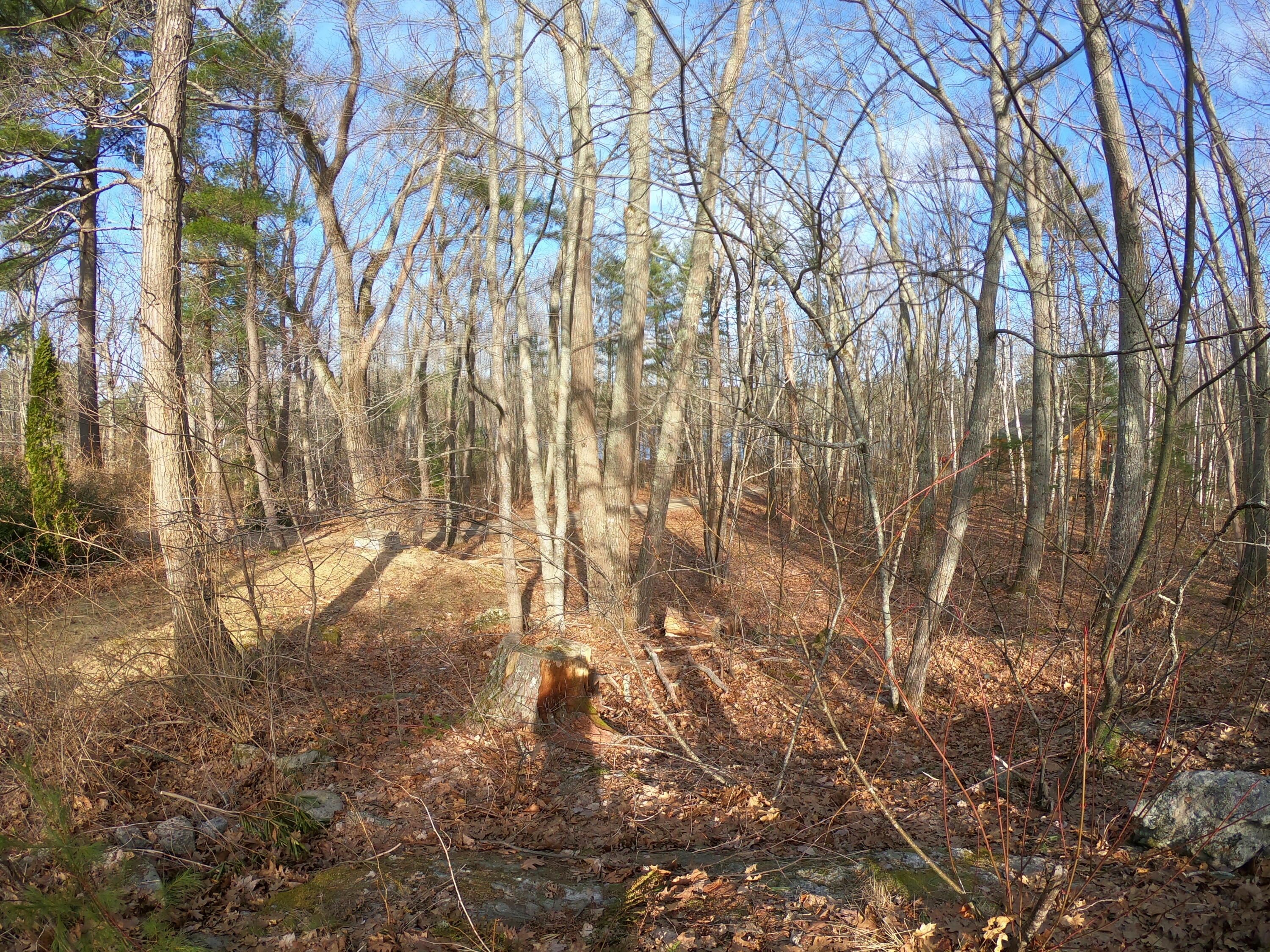 639 Arrowsic Road Bath, ME 04530 - Photo 63 of 67 woods