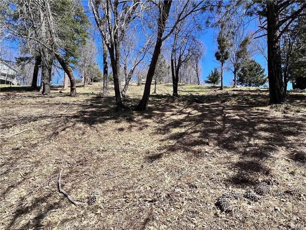 41 Fredalba Road Running Springs, CA 92382 - Photo 2 of 8 a view of yard with trees