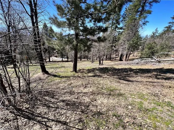 a view of a backyard with large trees
