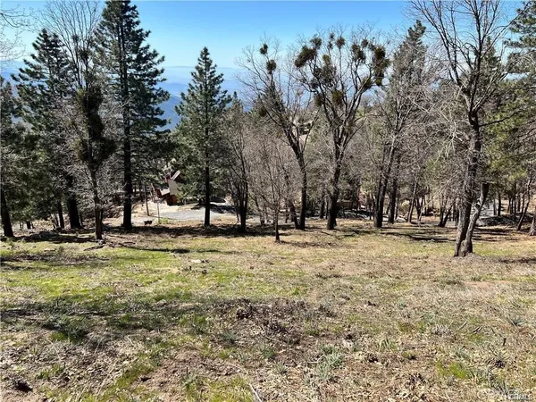 a view of outdoor space with trees