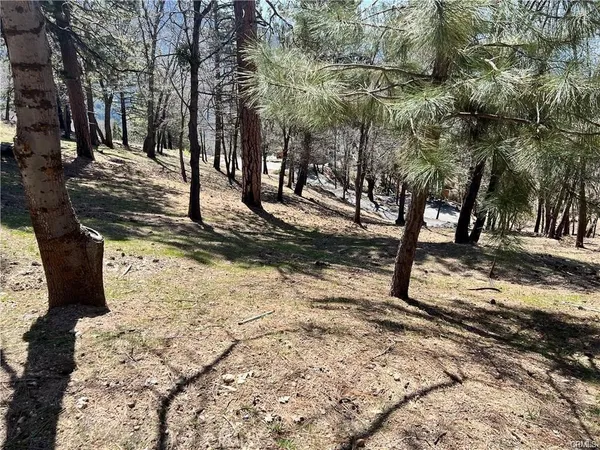 a view of a yard with trees