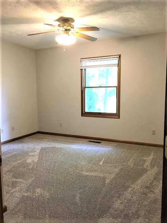 17 Raleigh Avenue Mackinaw, IL 61755 - Photo 17 of 30