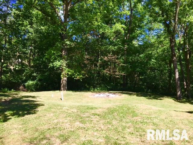 17 Raleigh Avenue Mackinaw, IL 61755 - Photo 29 of 30