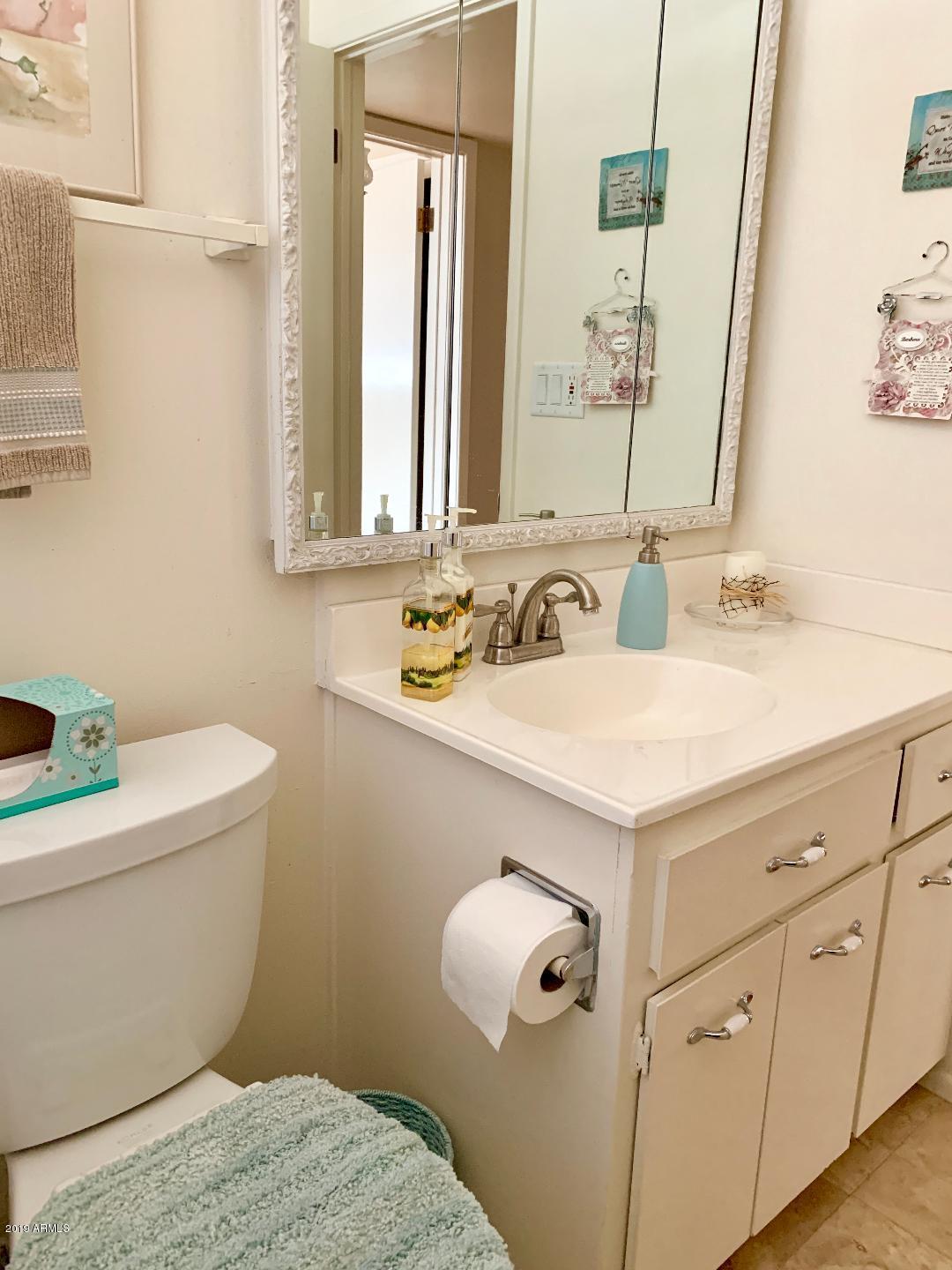 6223 East Decatur Street Mesa, AZ 85205 - Photo 23 of 38 Hall Bathroom