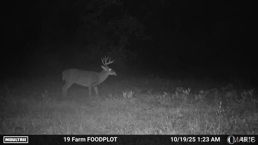 177-ac Tree Farm Road New Florence, MO 63363 - Photo 22 of 31