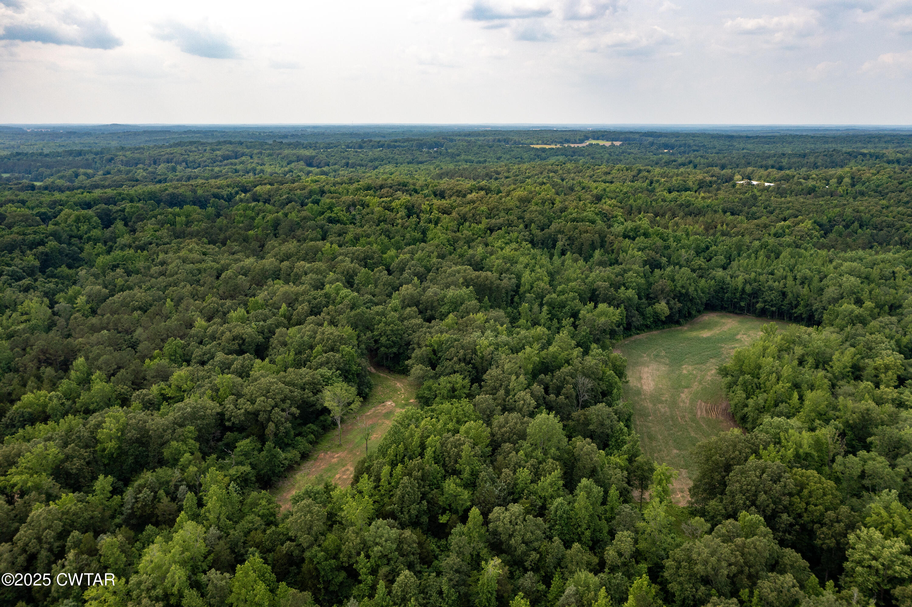 0 Old Stage Road Cedar Grove, TN 38321 - Photo 12 of 24 a view of a green field with lots of bushes