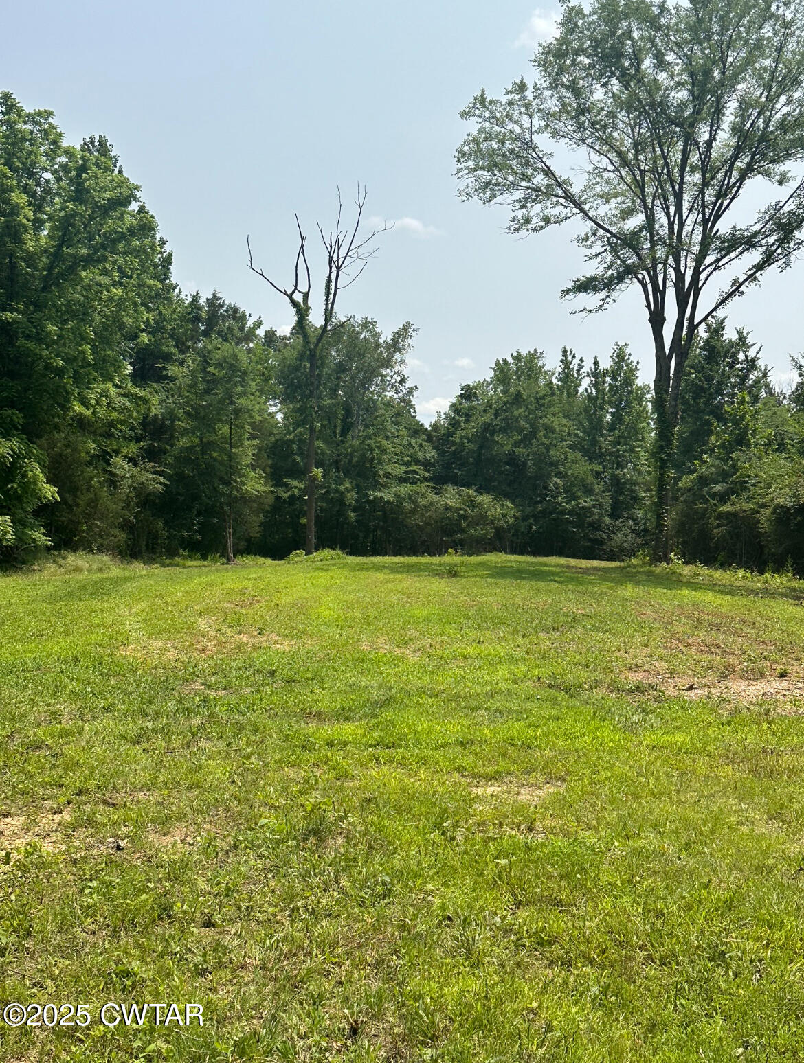 0 Old Stage Road Cedar Grove, TN 38321 - Photo 3 of 24 a view of a lake view