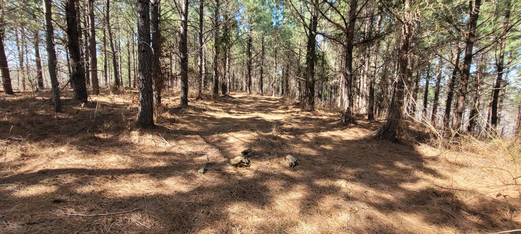 1 Saddleback Drive Dover, TN 37058 - Photo 2 of 8