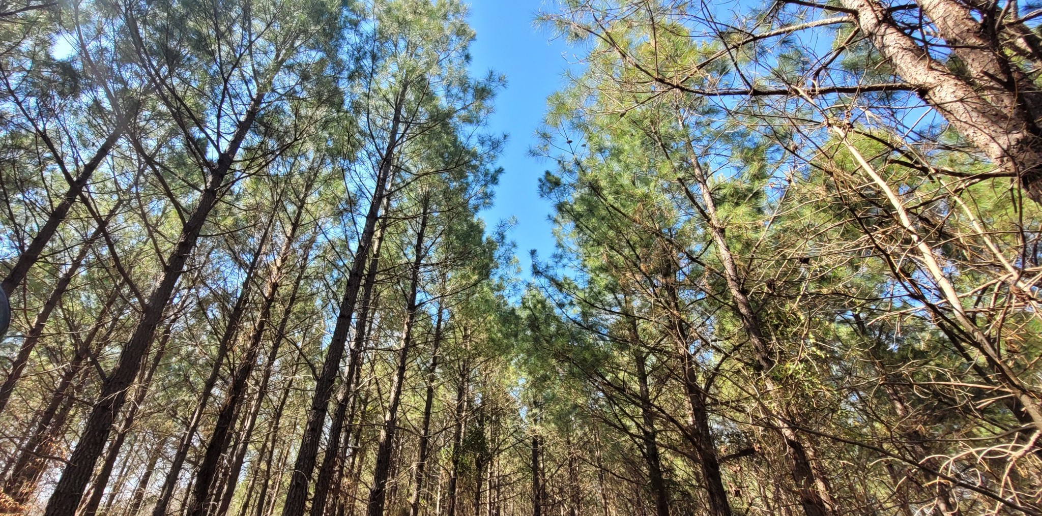 1 Saddleback Drive Dover, TN 37058 - Photo 3 of 8