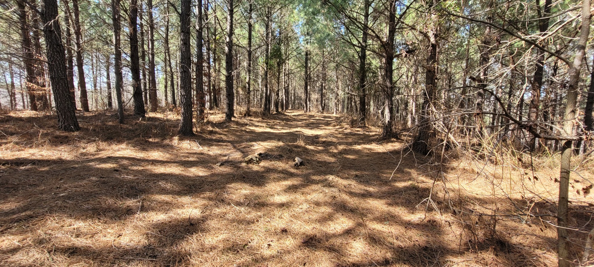 1 Saddleback Drive Dover, TN 37058 - Photo 6 of 8