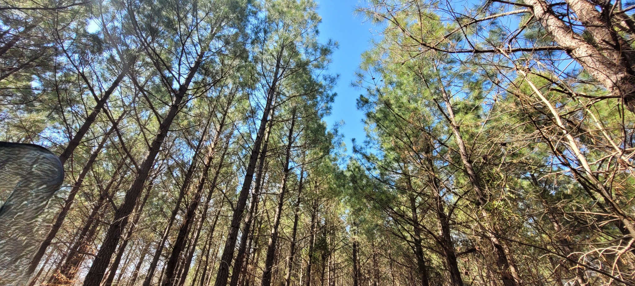 1 Saddleback Drive Dover, TN 37058 - Photo 7 of 8