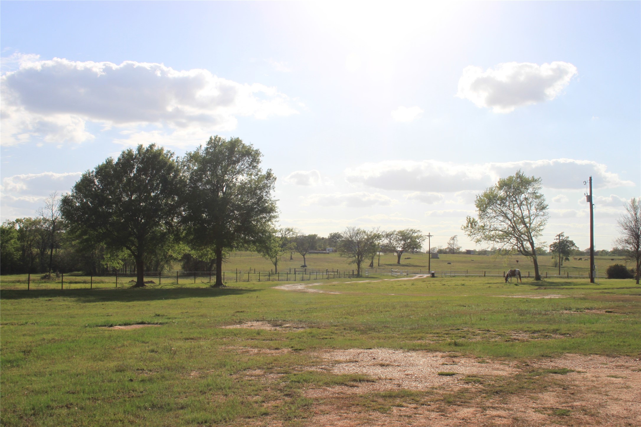 27134 Muckelroy Road Hempstead, TX 77445 - Photo 3 of 9