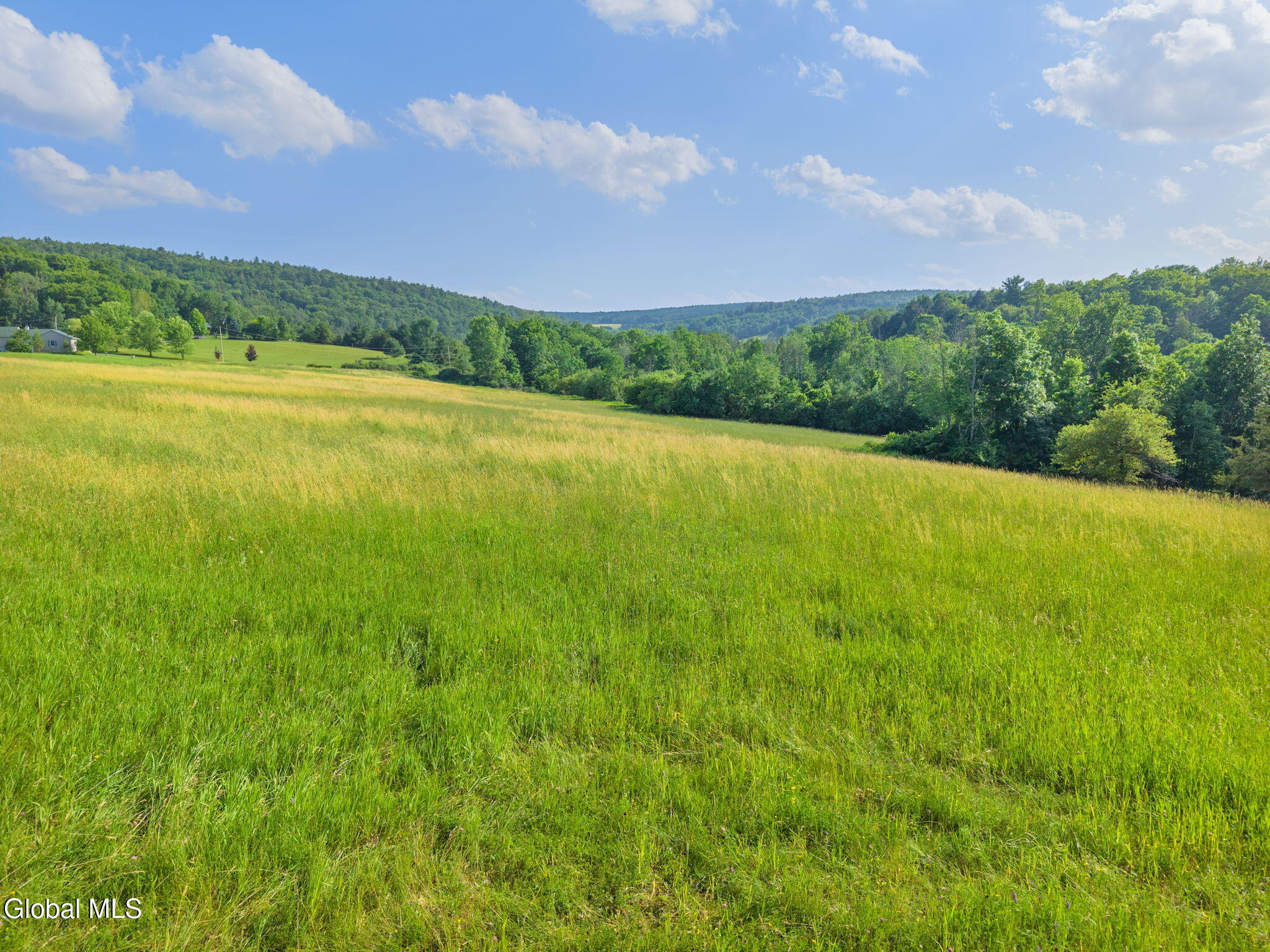 1008 Guinea Road Middleburgh, NY 12122 - Photo 42 of 51 53-1008GuineaRd_53