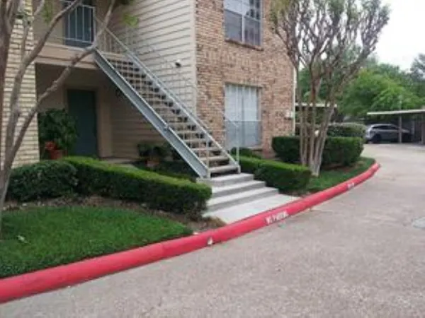 a view of backyard with plants