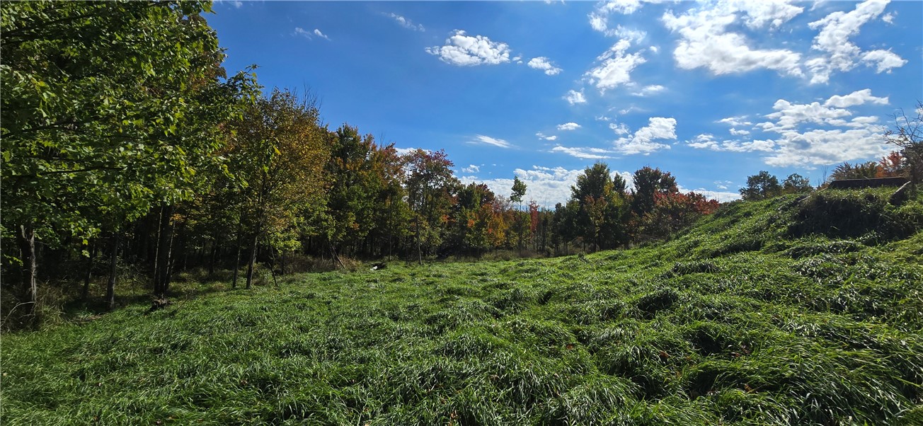 4740 Tucker Road Thurston, NY 14821 - Photo 20 of 46 Gallery Image 20