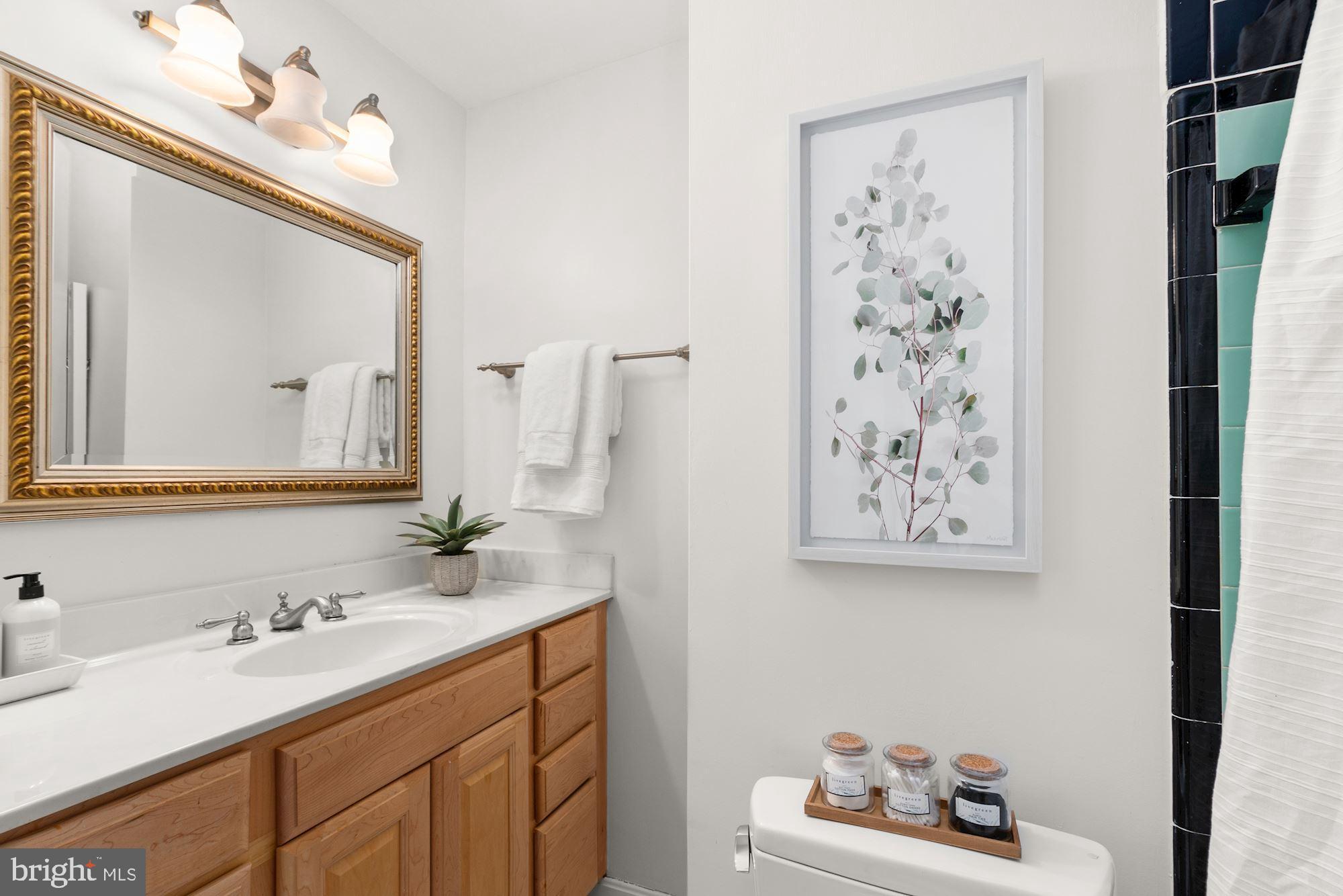 314 Burnt Mills Avenue Silver Spring, MD 20901 - Photo 21 of 29 Upper Level - Full Bath