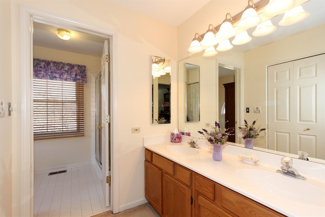 1411 Steeplechase Road Bartlett, IL 60103 - Photo 13 of 24