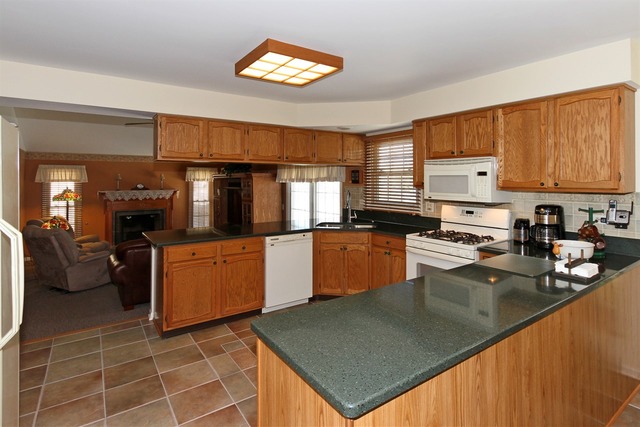 1411 Steeplechase Road Bartlett, IL 60103 - Photo 3 of 24