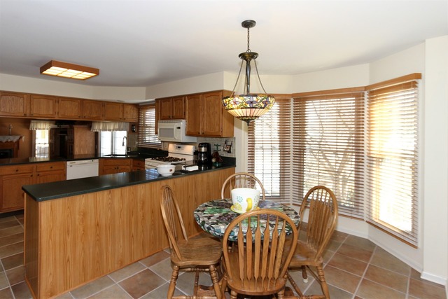 1411 Steeplechase Road Bartlett, IL 60103 - Photo 6 of 24