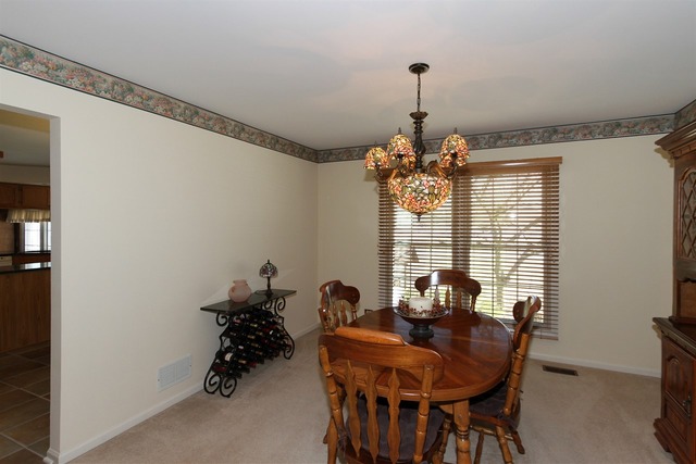 1411 Steeplechase Road Bartlett, IL 60103 - Photo 10 of 24