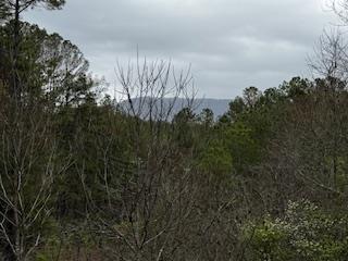 851 Stansbury Mountain Road Copperhill, TN 37317 - Photo 57 of 57