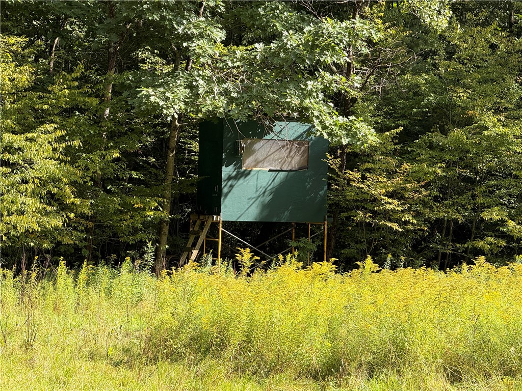 334 Lulu Coon Road Butternuts, NY 13849 - Photo 17 of 41 Gallery Image 17