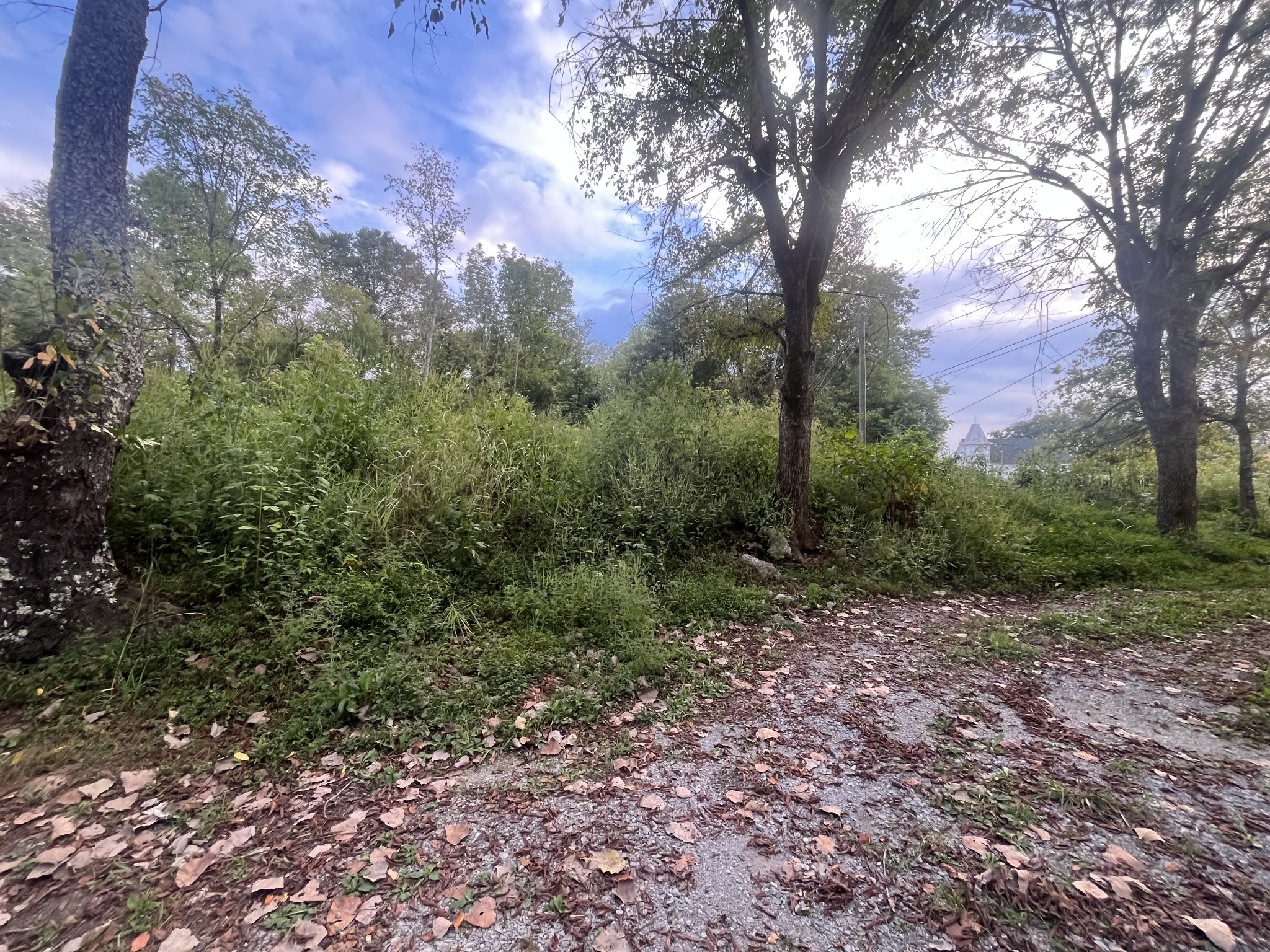 6840 Greenvale Road Watertown, TN 37184 - Photo 31 of 35 Gallery Image 31