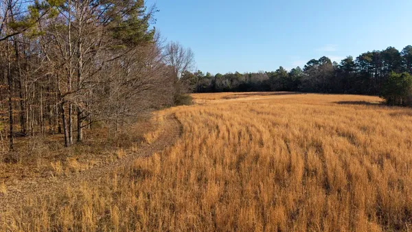 a view of a pathway of a yard