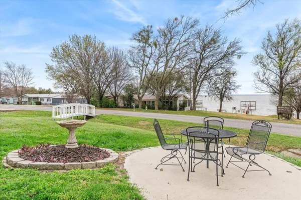 a view of a garden with plants