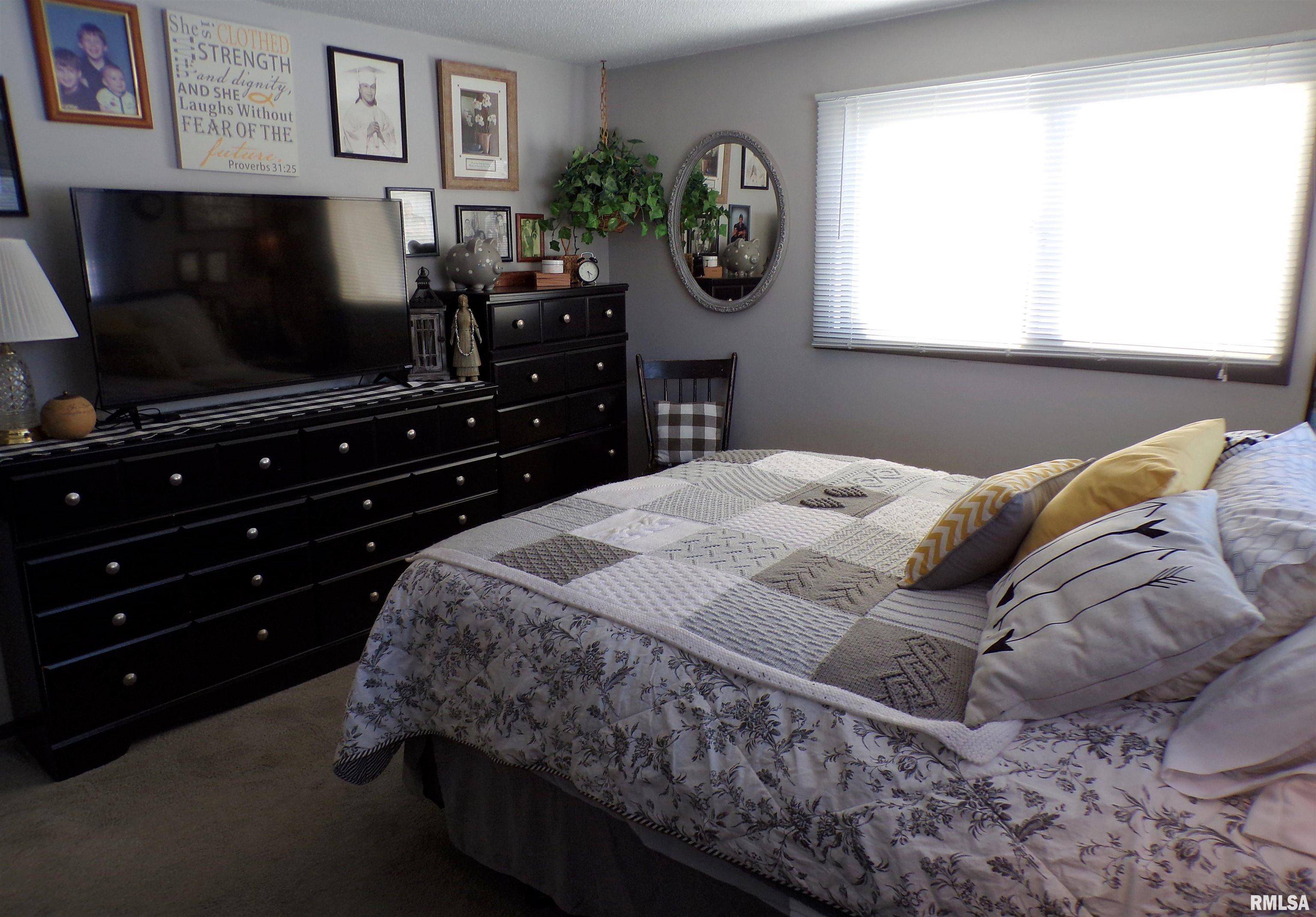 36 Forest View Road Dahinda, IL 61428 - Photo 29 of 36