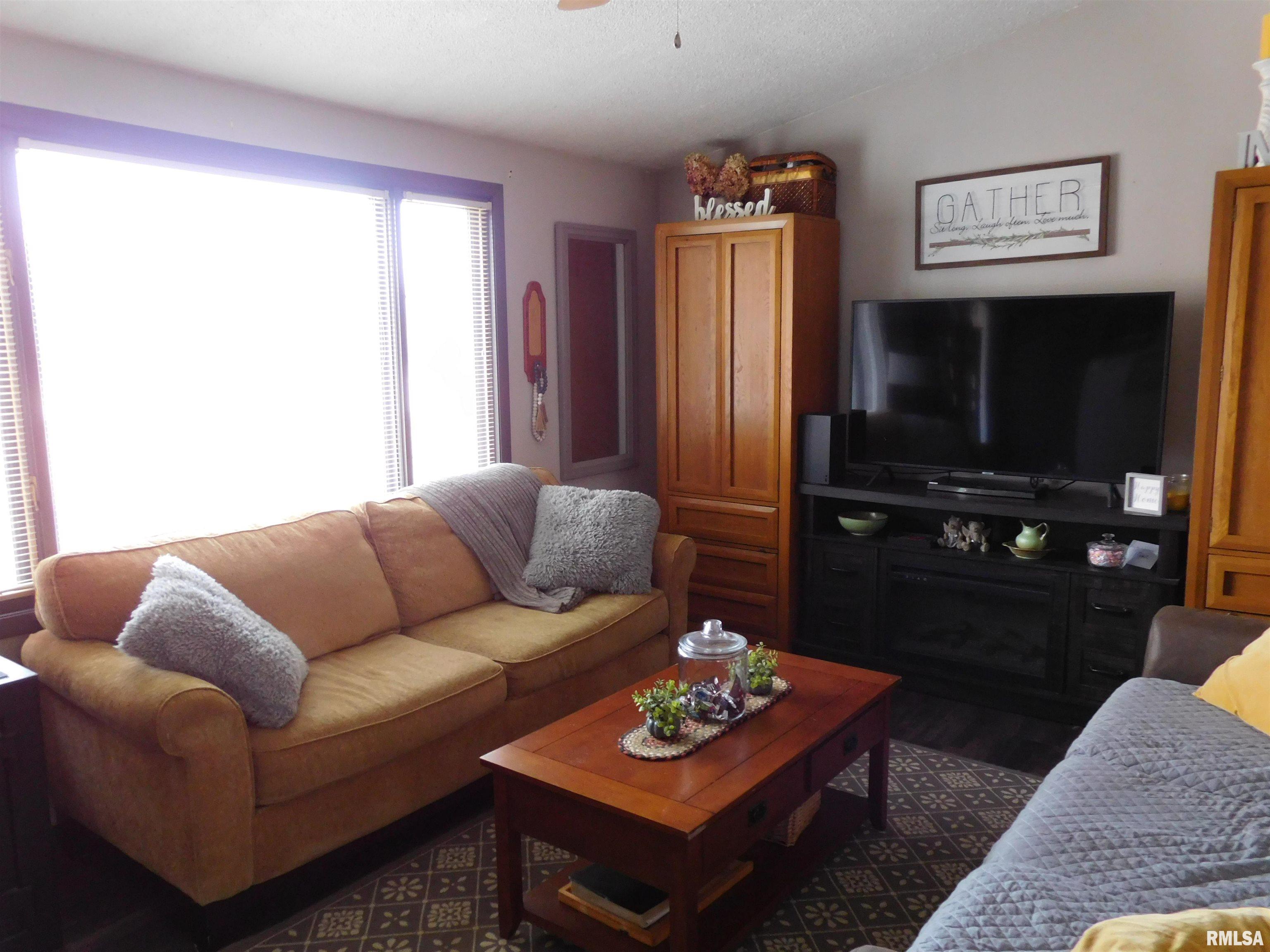 36 Forest View Road Dahinda, IL 61428 - Photo 6 of 36